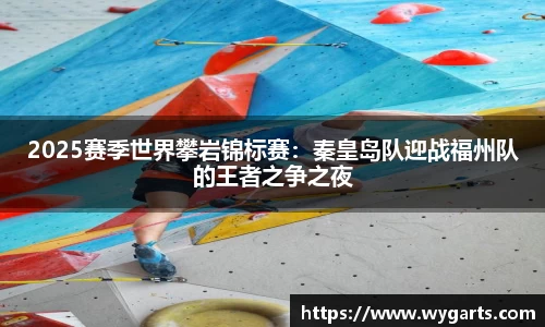 2025赛季世界攀岩锦标赛：秦皇岛队迎战福州队的王者之争之夜