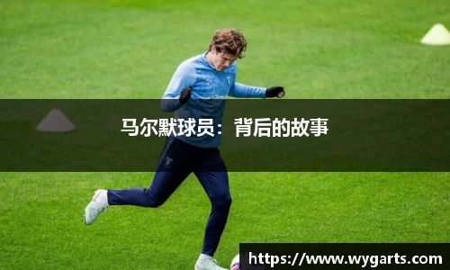 PT视讯官网