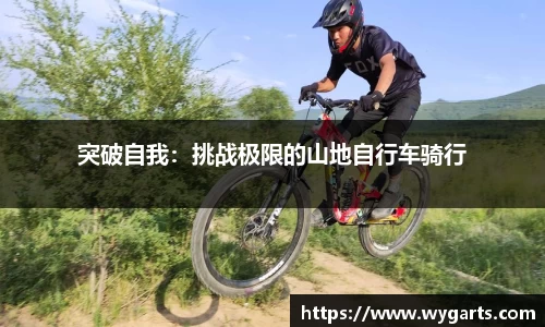 PT视讯官网